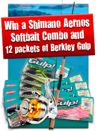 Enter to Win SoftBait Competition