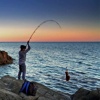 Surfcasting & Rock Fishing