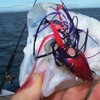 Slow Jigging