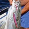 Jigging