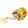 TiCA Reels