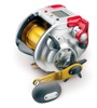 Electric Reels