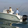 Boat Fishing