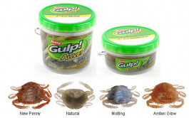Berkley Gulp Alive Tub 2 inch Peeler Crabs