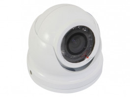 Iris Day and Night Dome Mini Camera
