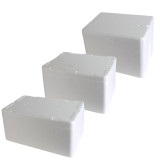 Polystyrene Chilly Bins