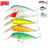 Rapala Magnum Countdown 18 Lure