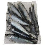 Pilchards Regular Size